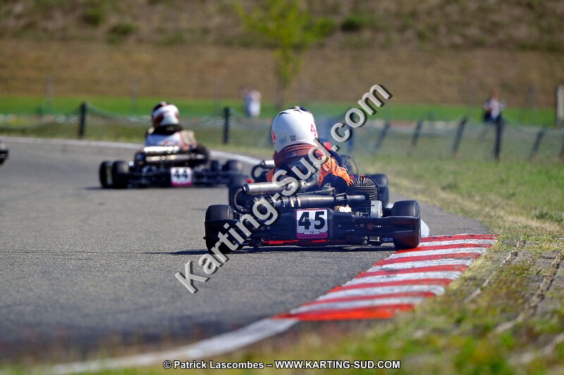 DSC_ (1304).jpg
